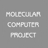 Molecular Computer Project